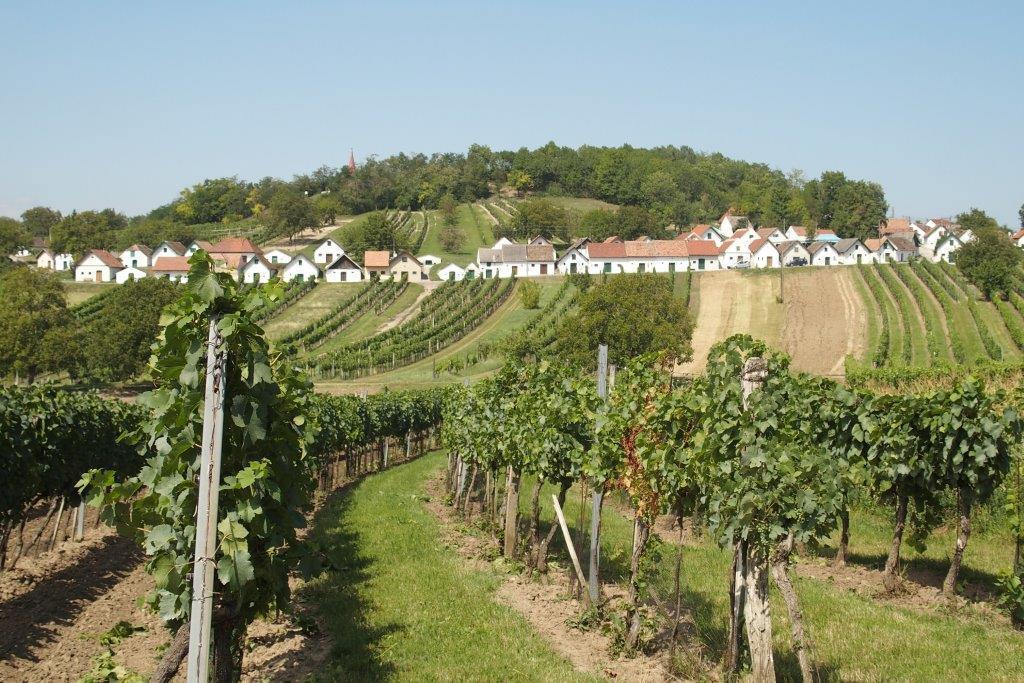 Gaestehaus Weinviertel - Niederoesterreich Siebenhirten Ngoại thất bức ảnh